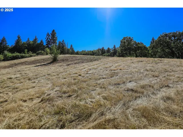 a view of a field with trees in the background