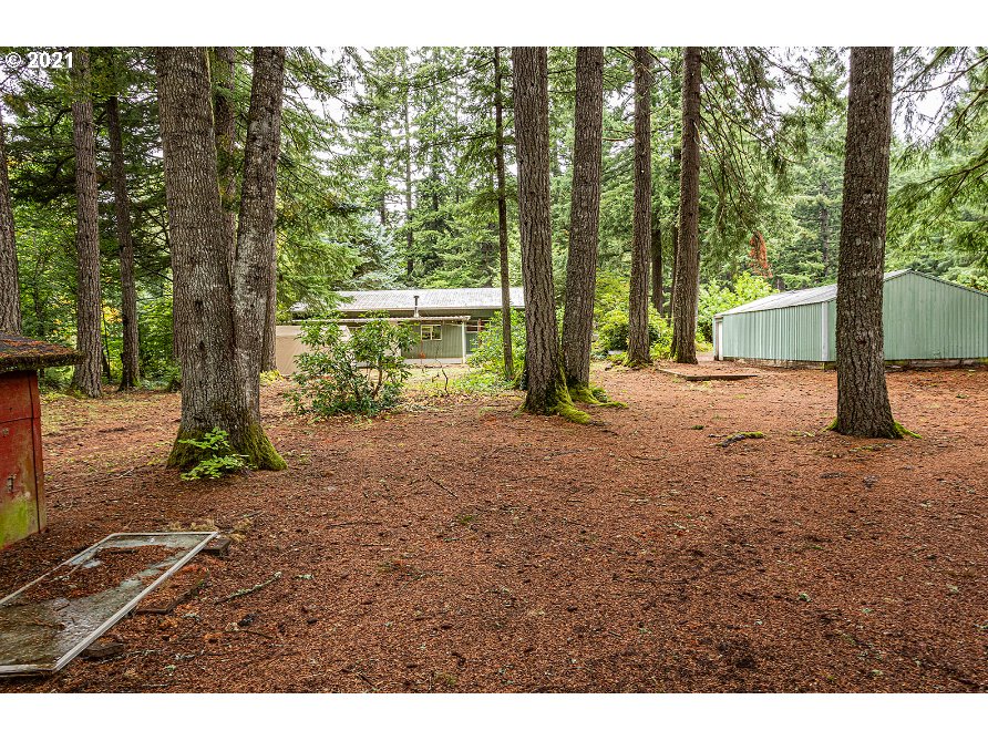 221 High Bridge Road Carson, WA 98610 - Photo 22 of 23 Gallery Image 22