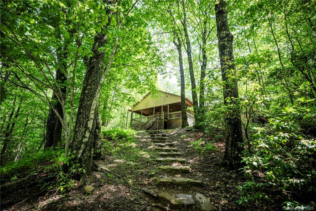 563 Line Runner Ridge Road Rosman, NC 28772 - Photo 4 of 35 Gallery Image 4