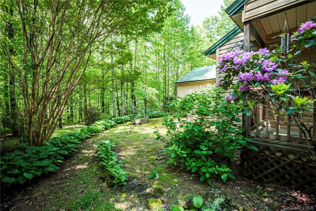 563 Line Runner Ridge Road Rosman, NC 28772 - Photo 7 of 35 Gallery Image 7