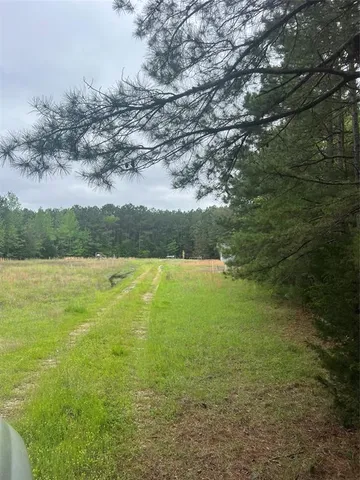 $175,000 | Tbd County Road 316, De Berry, TX 75639