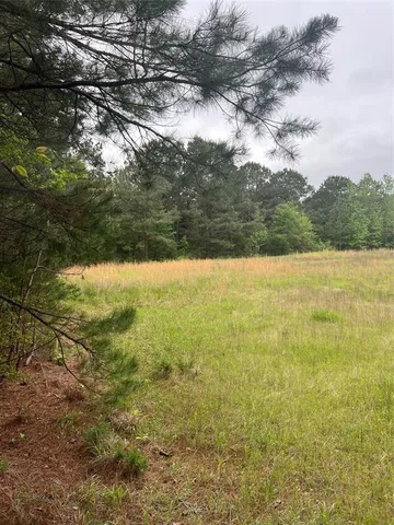 $175,000 | Tbd County Road 316, De Berry, TX 75639