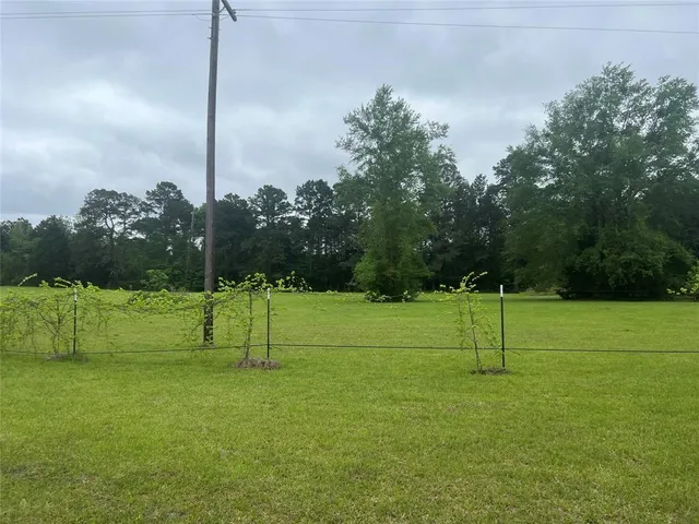 $175,000 | Tbd County Road 316, De Berry, TX 75639