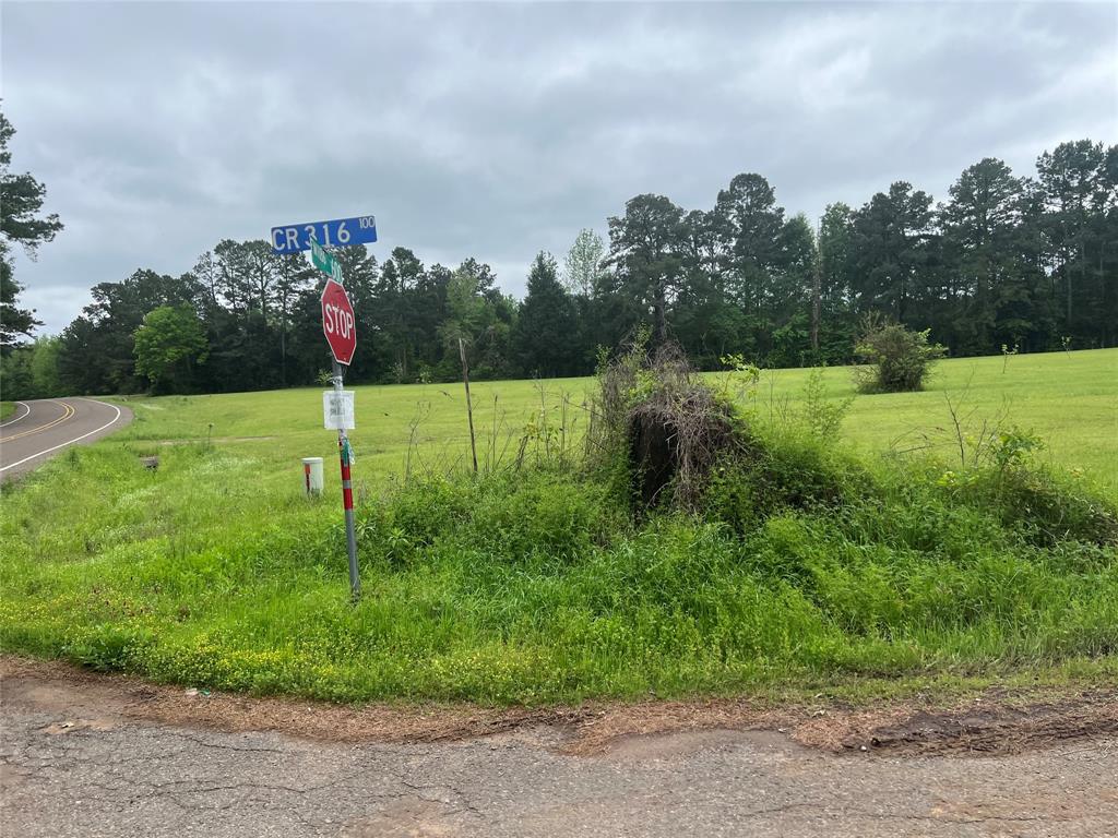 Tbd County Road 316 De Berry, TX 75639 - Photo 5 of 16 Corner of Property