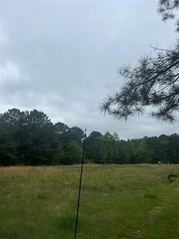 $175,000 | Tbd County Road 316, De Berry, TX 75639