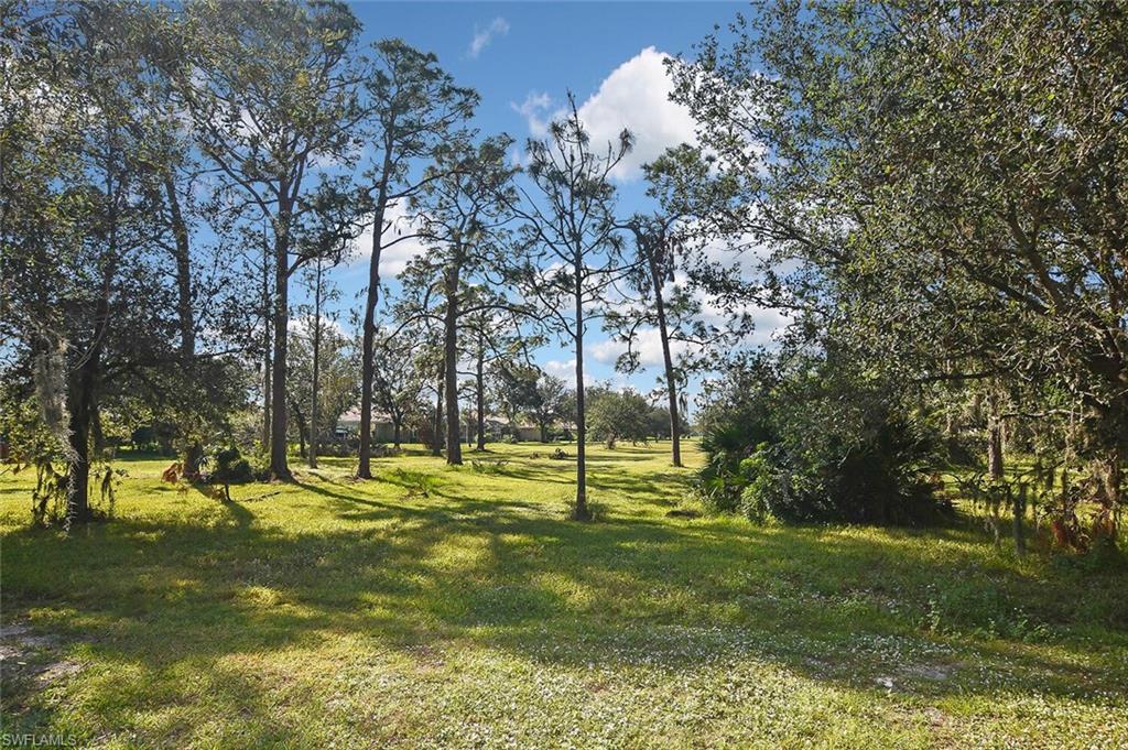 12894 Ivory Stone Loop Fort Myers, FL 33913 - Photo 10 of 50