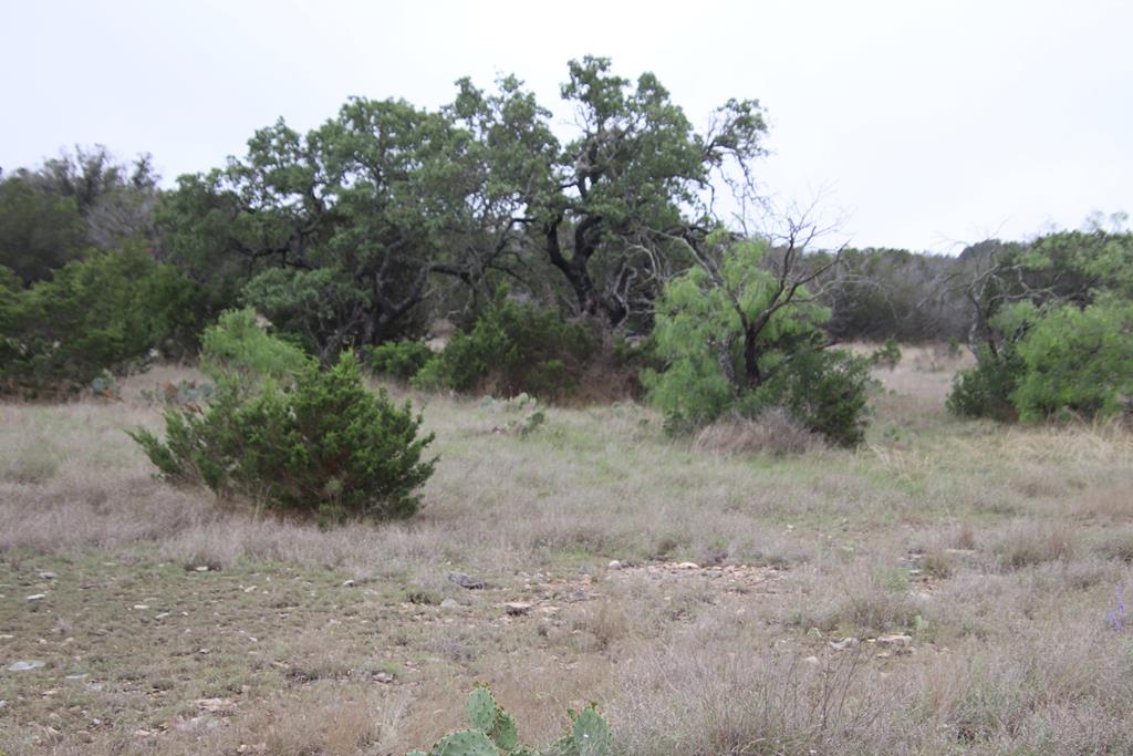 2122 Cr 450 Rocksprings Tx 78880 Rocksprings, TX 78880 - Photo 8 of 9