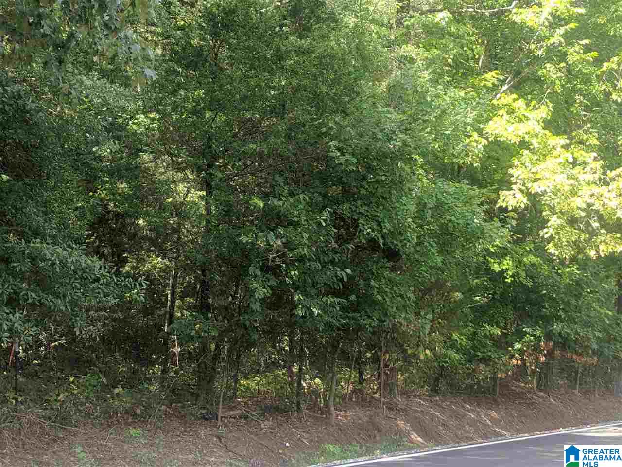 0 Old Broadwell Mill Road Jacksonville, AL 36265 - Photo 18 of 22