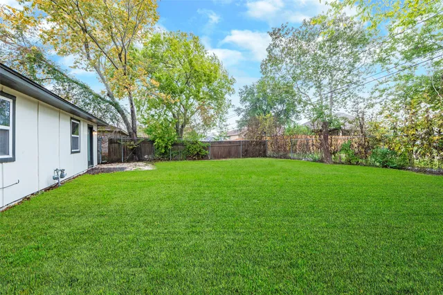 a backyard of a house with plants and large tree