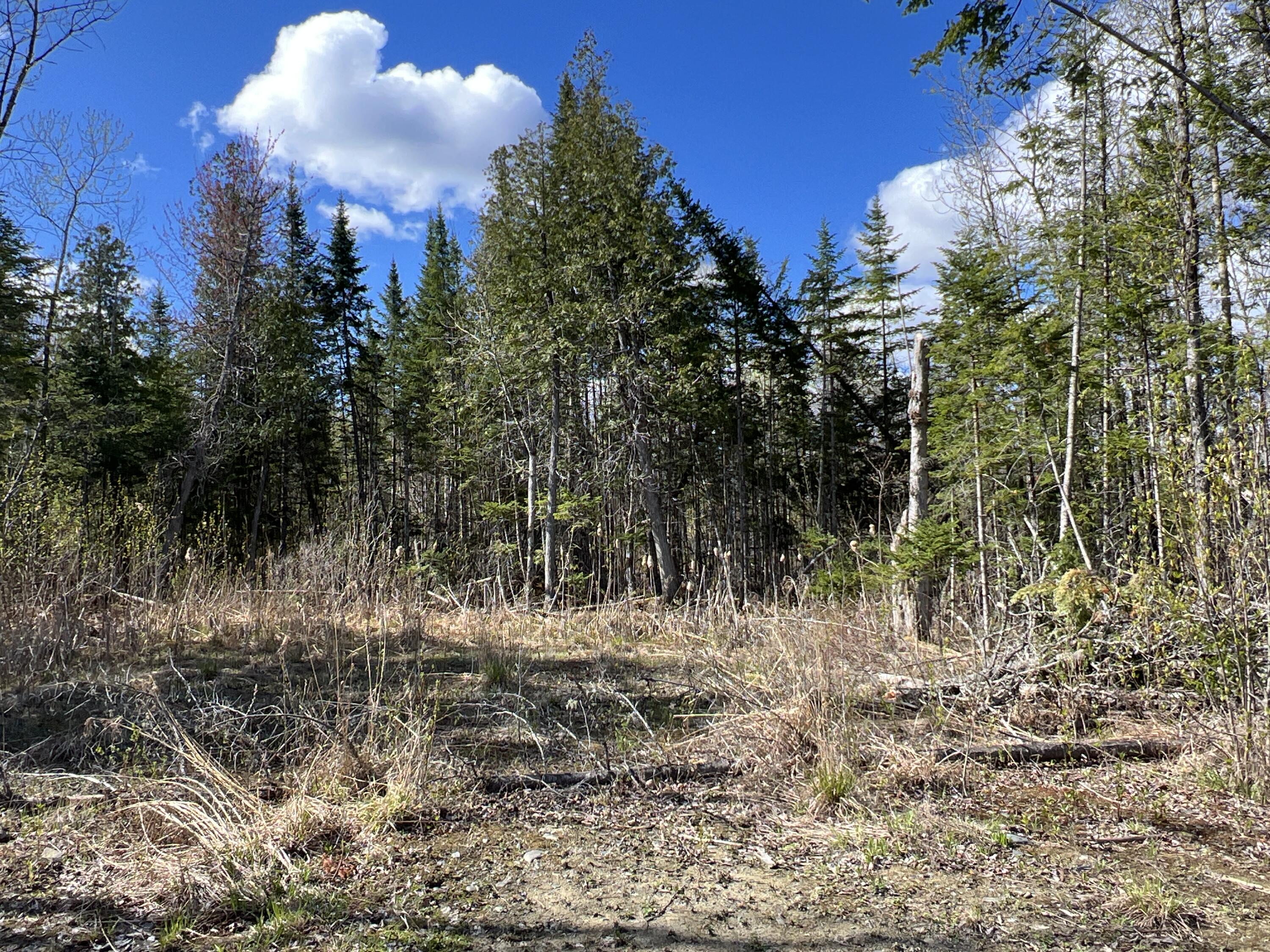 Lot 22 Schoodic Point Road Medford, ME 04463 - Photo 18 of 27 IMG_4183