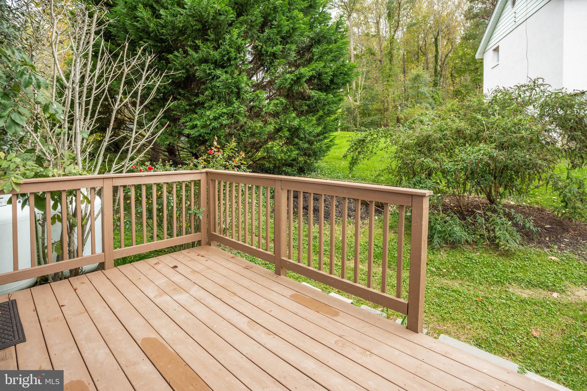6041 Bayview Road St. Leonard, MD 20685 - Photo 60 of 67