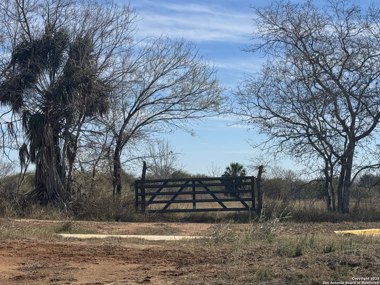 0 Wisdom Road Atascosa, TX 78002 - Photo 7 of 9