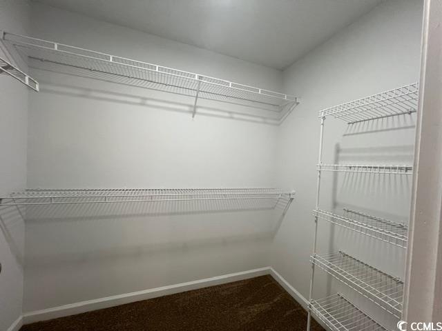 1809 Barberry Drive Conway, SC 29526 - Photo 15 of 16 Spacious closet with carpet flooring