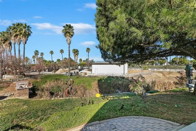 a view of backyard with potted plants