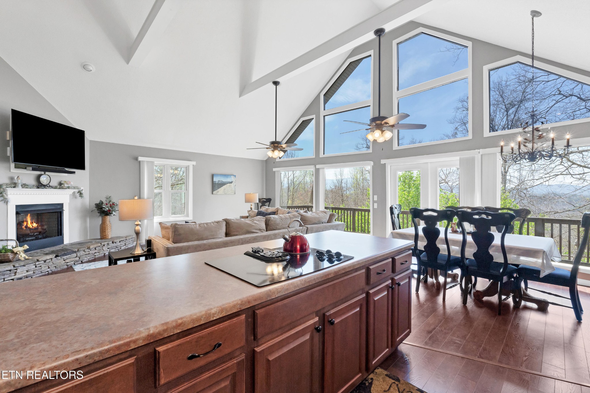 2201 Applewood Road Sevierville, TN 37862 - Photo 14 of 59 Gallery Image 14