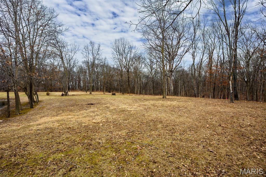 14982 Fremont Road Gillespie, IL 62033 - Photo 15 of 57