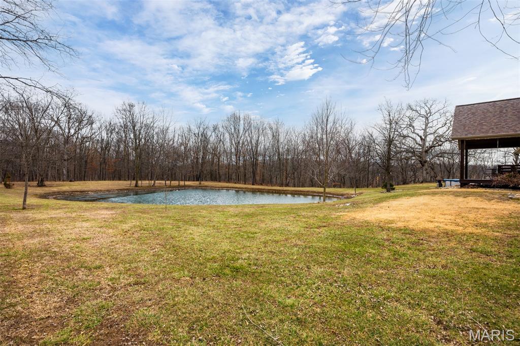 14982 Fremont Road Gillespie, IL 62033 - Photo 17 of 57