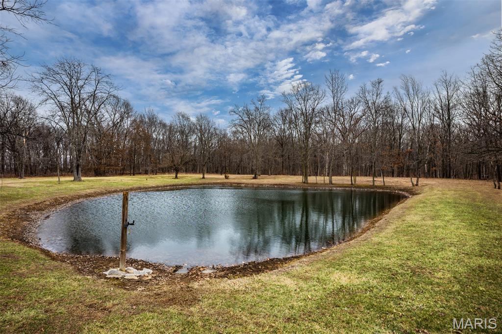 14982 Fremont Road Gillespie, IL 62033 - Photo 19 of 57