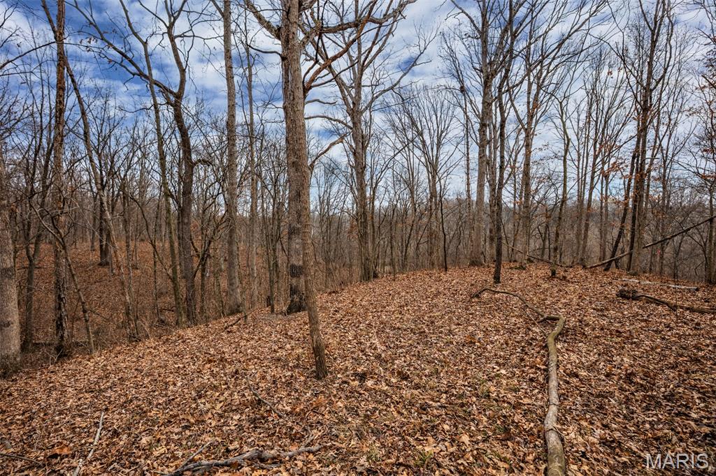 14982 Fremont Road Gillespie, IL 62033 - Photo 20 of 57