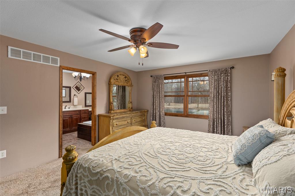 14982 Fremont Road Gillespie, IL 62033 - Photo 40 of 57