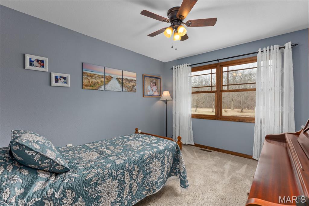 14982 Fremont Road Gillespie, IL 62033 - Photo 43 of 57