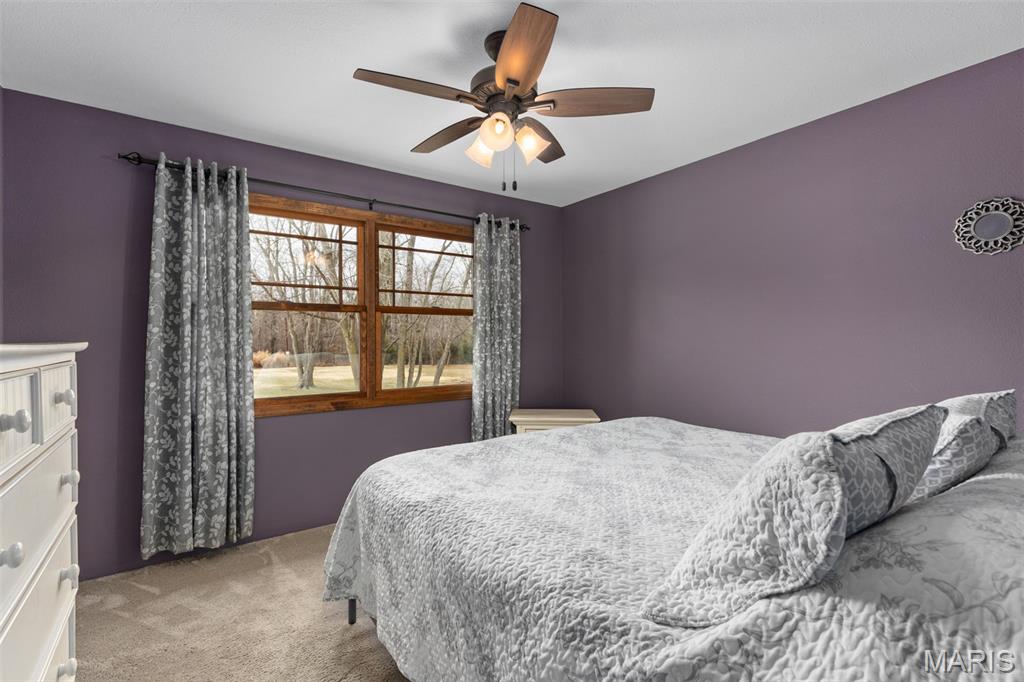 14982 Fremont Road Gillespie, IL 62033 - Photo 45 of 57