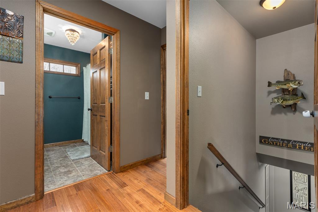 14982 Fremont Road Gillespie, IL 62033 - Photo 48 of 57