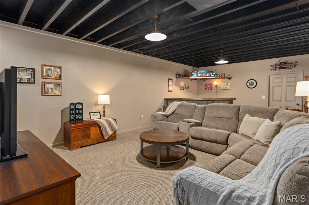 14982 Fremont Road Gillespie, IL 62033 - Photo 50 of 57