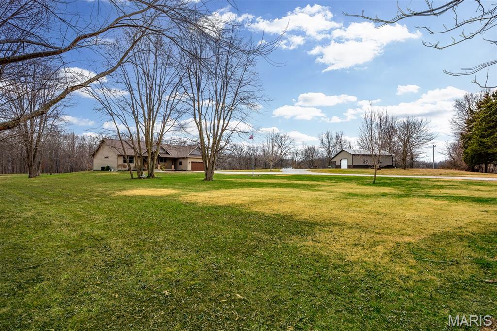 14982 Fremont Road Gillespie, IL 62033 - Photo 9 of 57