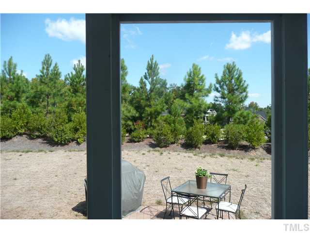 2755 Hidden Waters Circle Raleigh, NC 27614 - Photo 15 of 19 This picture is looking out from the covered porch to the patio