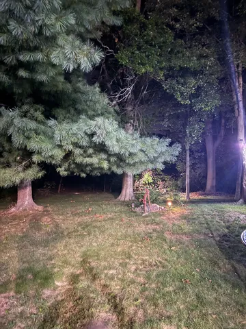 a view of a backyard of a house