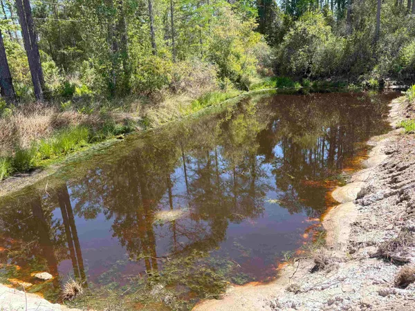 $300,000 | 237 Southwest Wabasso Terrace, Greenville, FL 32331