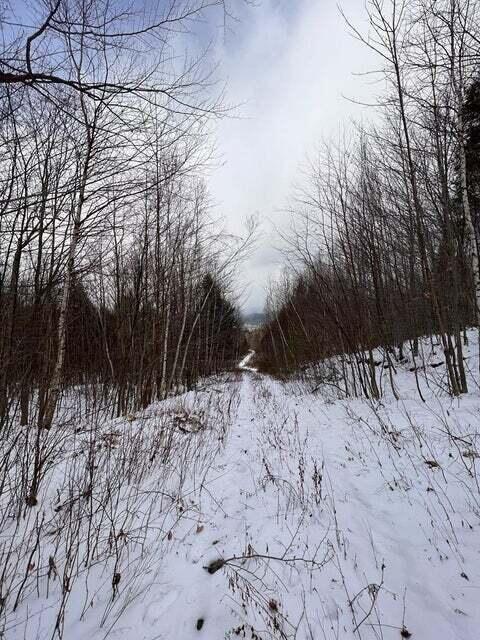 Lot 1 South Rumford Road Rumford, ME 04276 - Photo 9 of 11 20240522184317700819000000-o