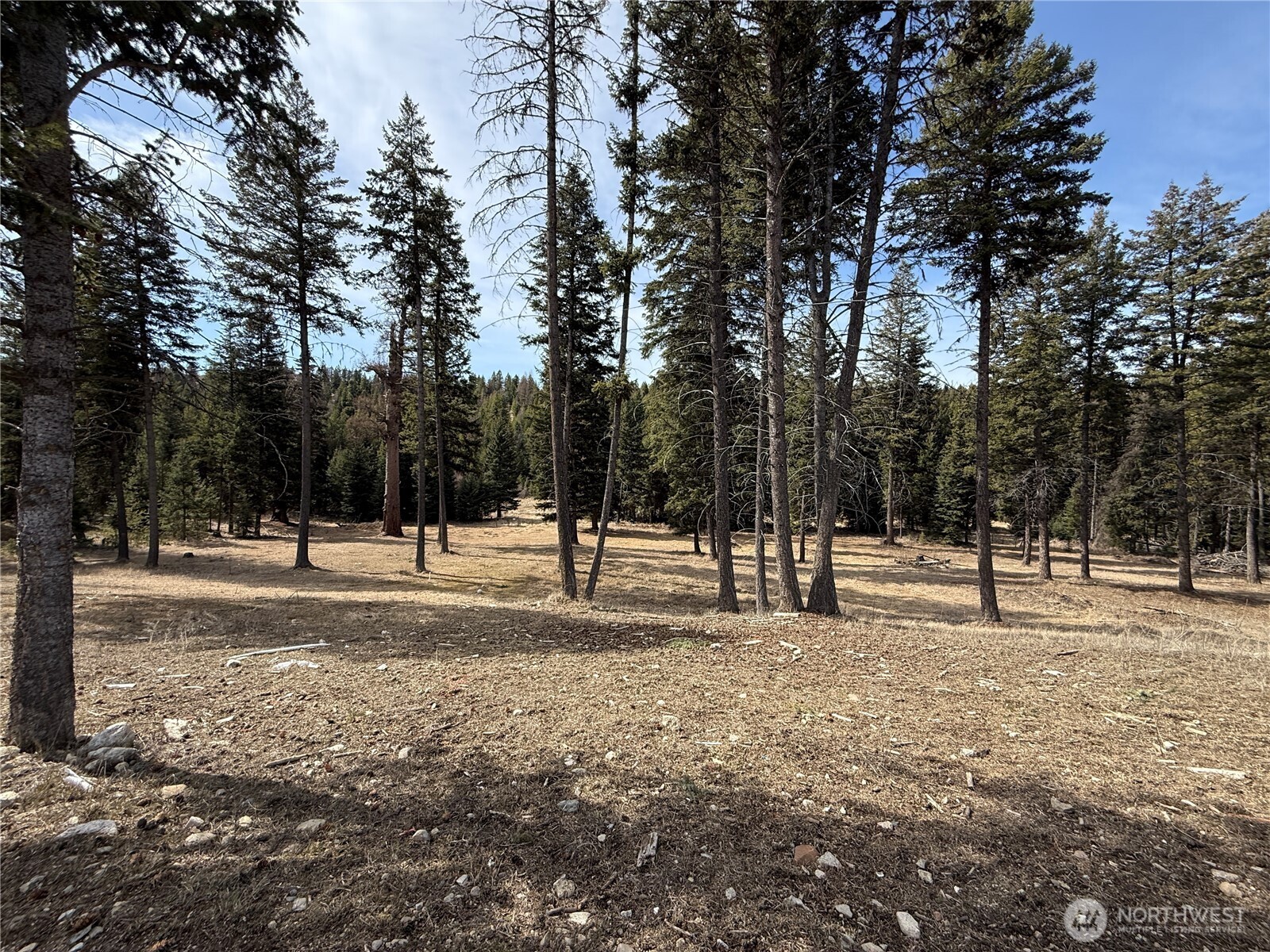 116 Cape Labelle Road Wauconda, WA 98859 - Photo 14 of 35