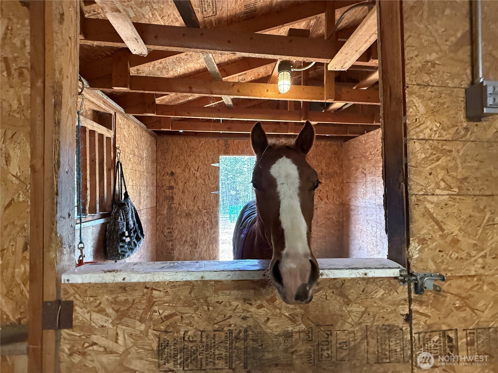 116 Cape Labelle Road Wauconda, WA 98859 - Photo 20 of 35