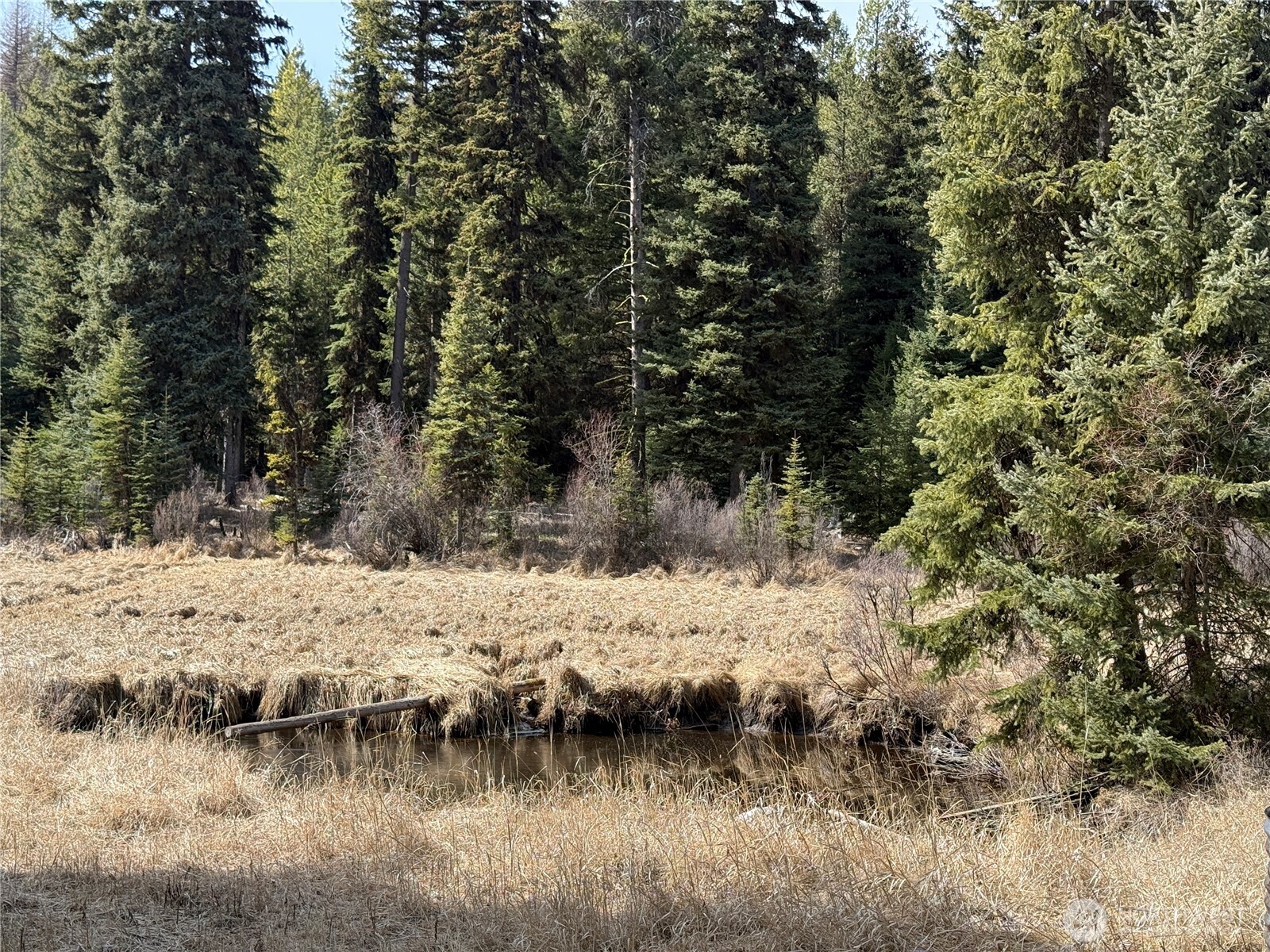 116 Cape Labelle Road Wauconda, WA 98859 - Photo 29 of 35