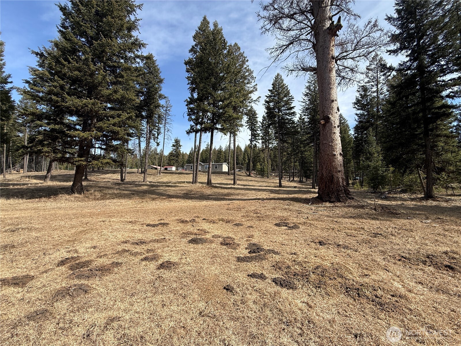 116 Cape Labelle Road Wauconda, WA 98859 - Photo 30 of 35