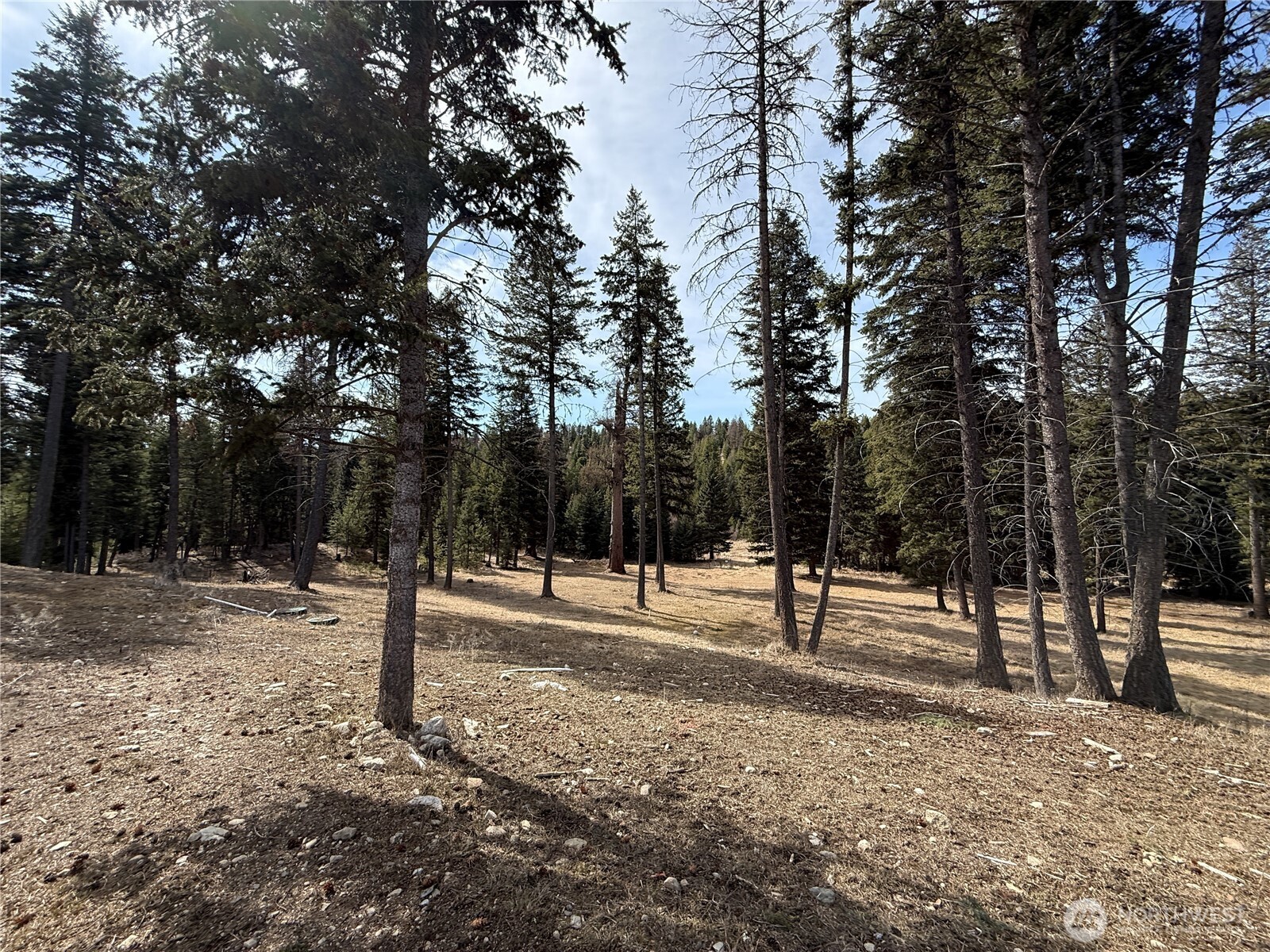 116 Cape Labelle Road Wauconda, WA 98859 - Photo 33 of 35