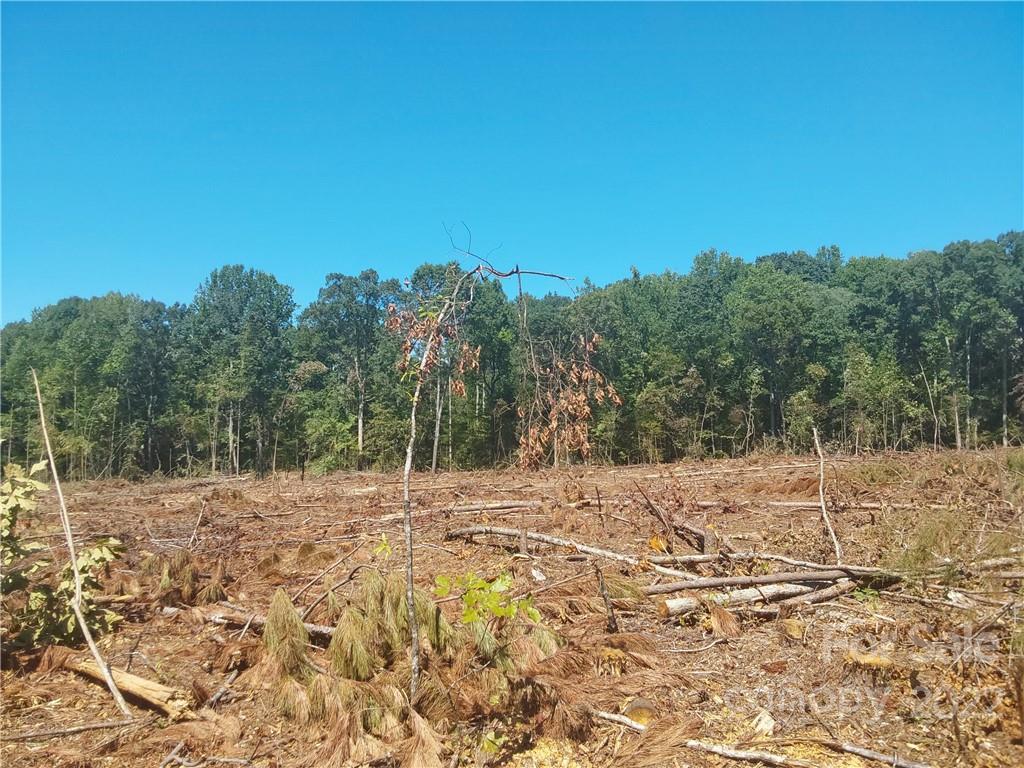 0 Requa Road Cherryville, NC 28021 - Photo 4 of 10