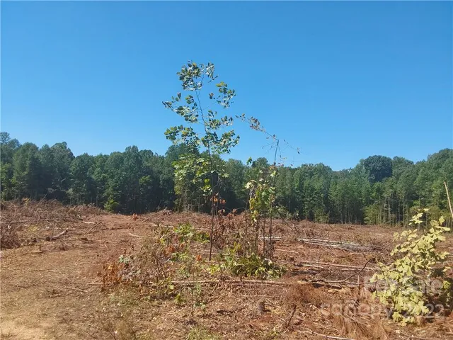 $157,000 | 0 Requa Road, Cherryville, NC 28021