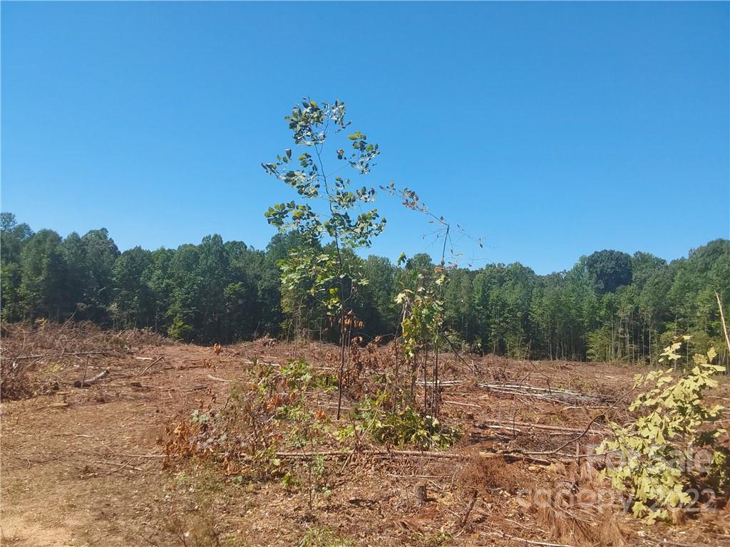 0 Requa Road Cherryville, NC 28021 - Photo 5 of 10