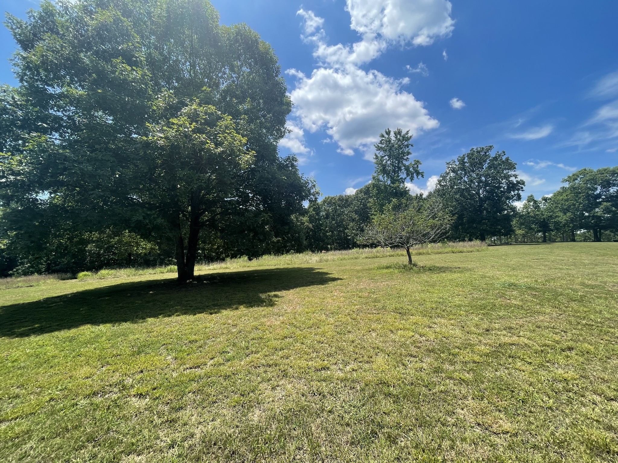 380 Stults Store Road Iron City, TN 38463 - Photo 23 of 63 Gallery Image 23
