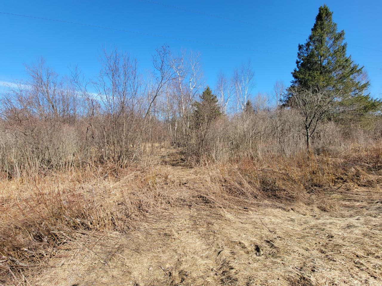 On Rangeline Road, Unit 35 ACRES Antigo, WI 54409 - Photo 16 of 16 Gallery Image 16