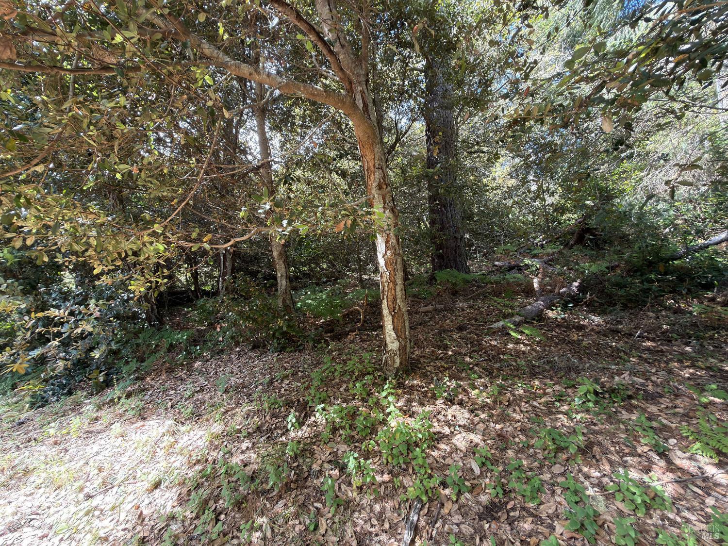 76 Compass Close The Sea Ranch, CA 95497 - Photo 10 of 29