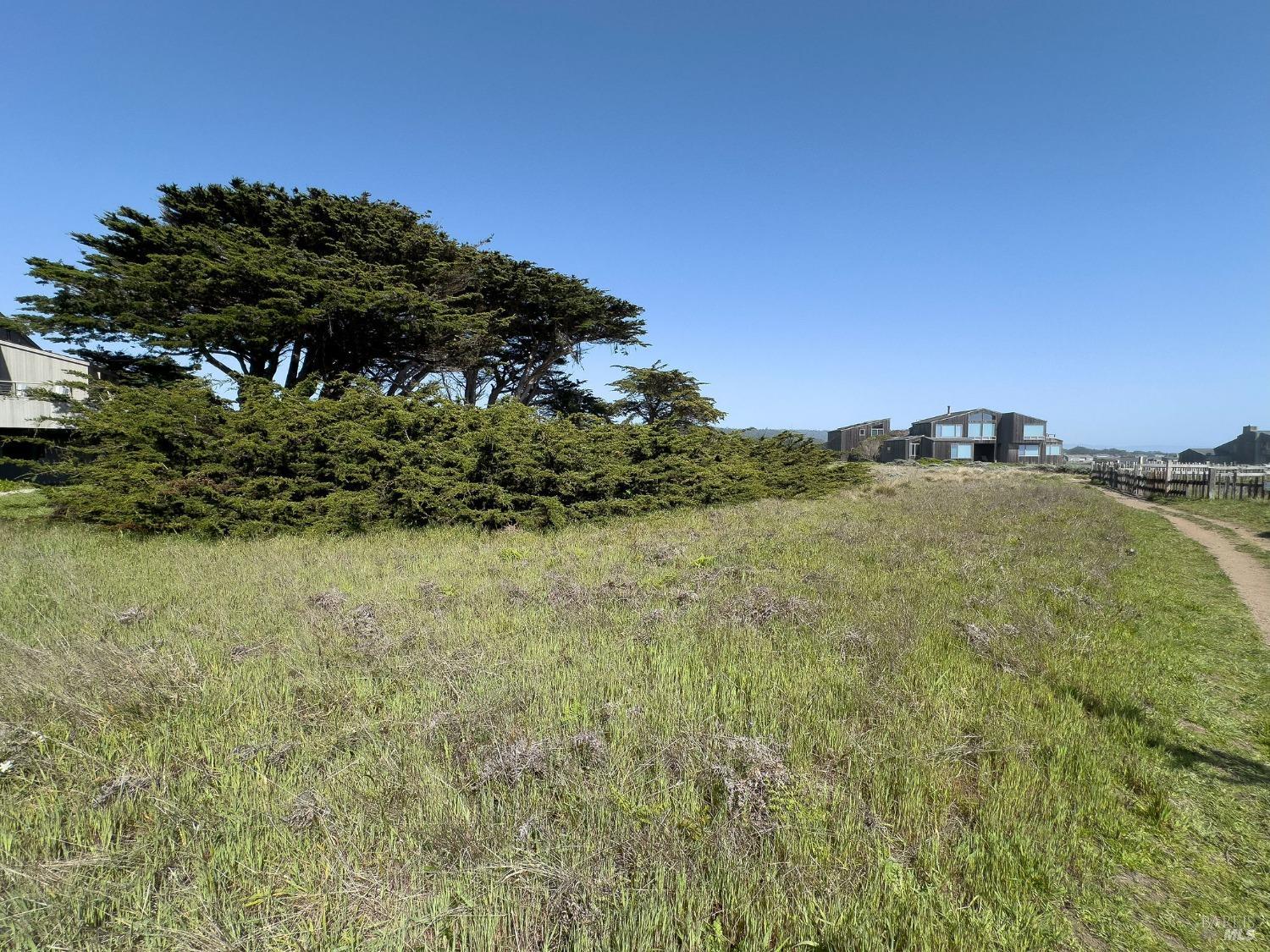 42179 Rock Cod The Sea Ranch, CA 95497 - Photo 18 of 28 a view of a big yard with a garden and mountain view
