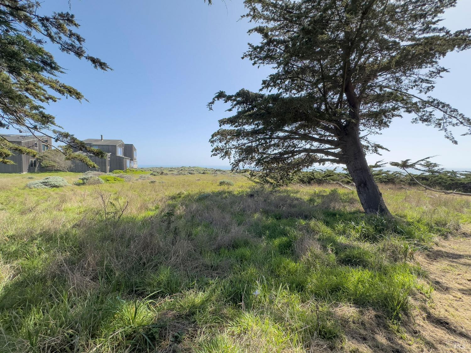 42179 Rock Cod The Sea Ranch, CA 95497 - Photo 22 of 28 a view of a yard with a tree