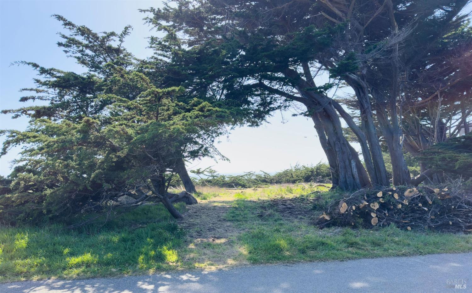 42179 Rock Cod The Sea Ranch, CA 95497 - Photo 23 of 28 a view of lake from yard