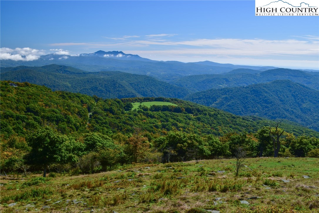 Yellow Mountain Road Newland, NC 28657 - Photo 13 of 13 Gallery Image 13
