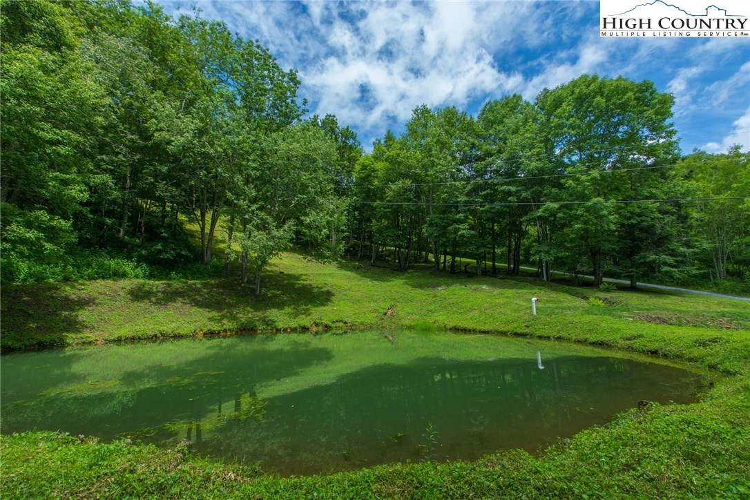 Yellow Mountain Road Newland, NC 28657 - Photo 2 of 13 Gallery Image 2