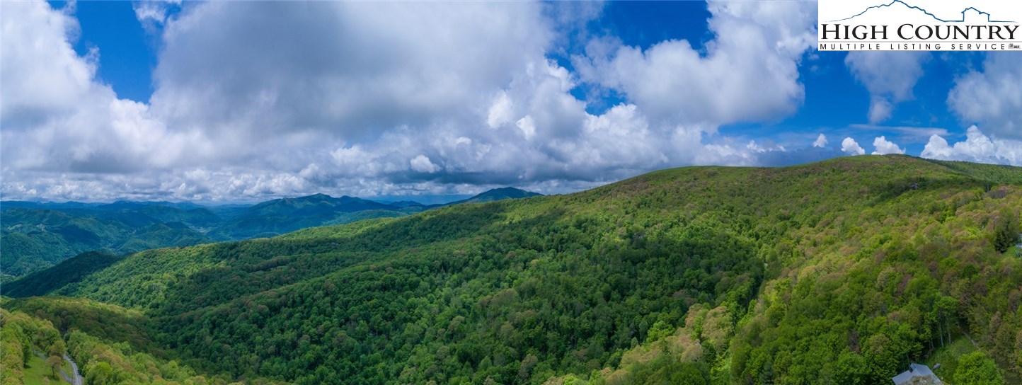 Yellow Mountain Road Newland, NC 28657 - Photo 4 of 13 Gallery Image 4